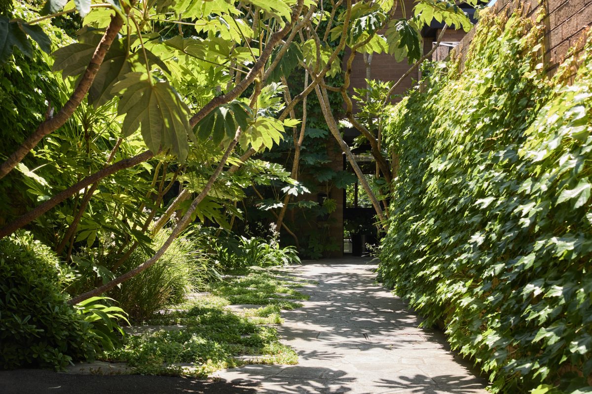 Gunn House - Pleysier Perkins